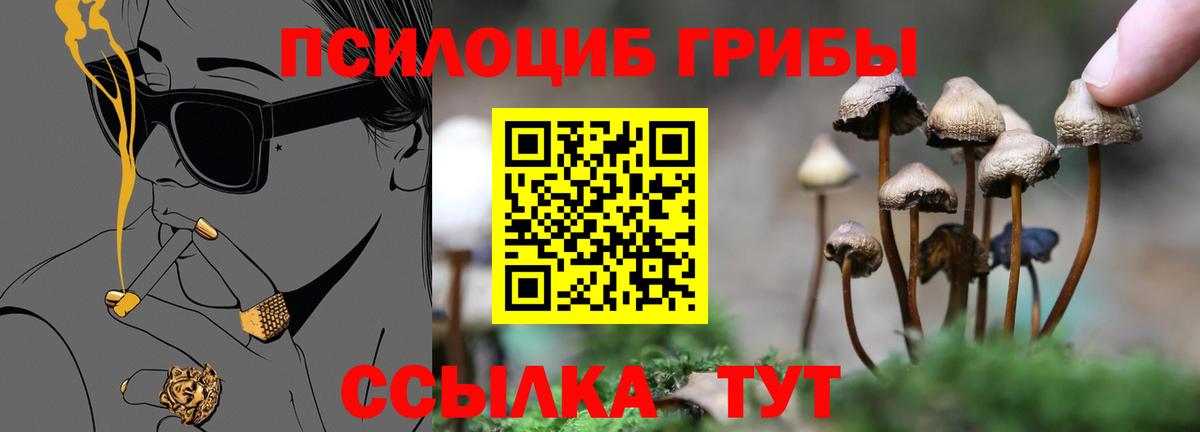 Галлюциногенные грибы Magic Shrooms Светлоград